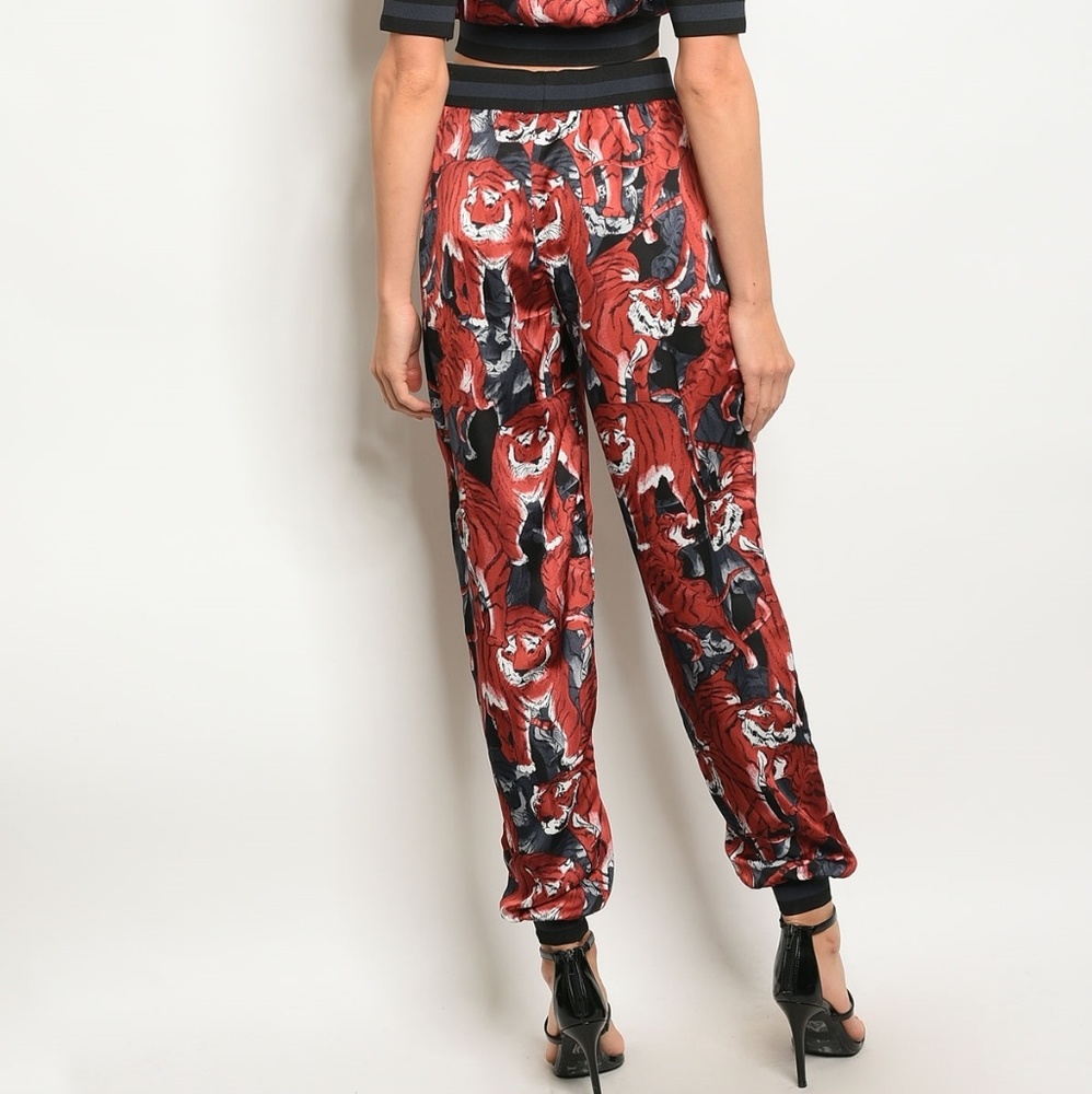 Banjul Earth Tiger Print Top & Pants Set - Picture 4 of 4